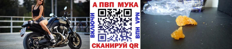 shop официальный сайт  Пионерский  APVP крисы CK  где купить  
